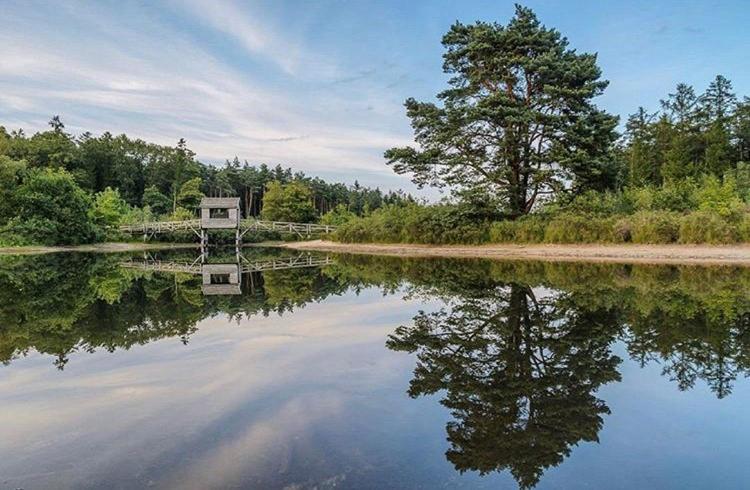 De Rheezer Kamer Hardenberg Kültér fotó
